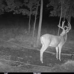 M0 ALS0 L32 T64 S32 IR52 C3 Y47 B0 comp-7 ST2 +-16 0