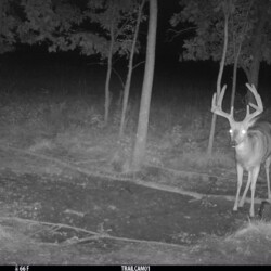 M0 ALS0 L31 T64 S33 IR52 C3 Y45 B0 comp-8 ST2 +-16 0